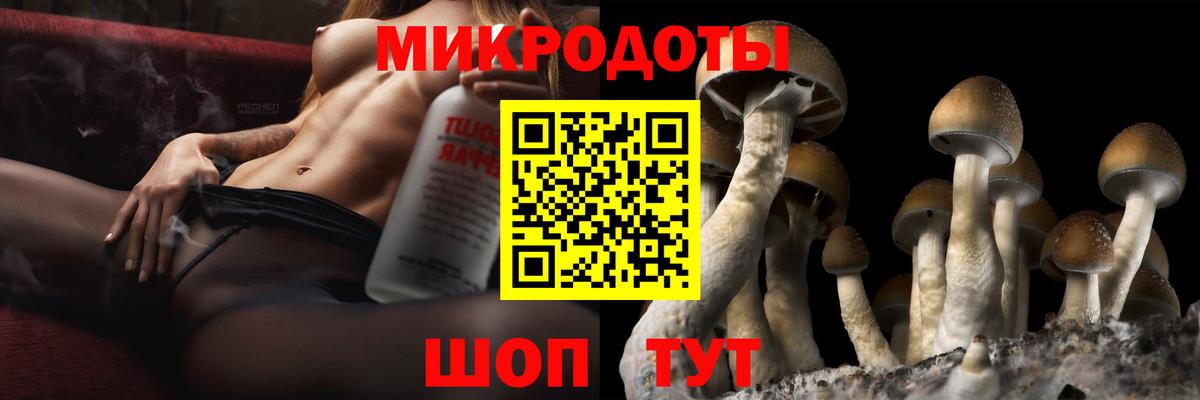 Псилоцибиновые грибы мухоморы Междуреченск